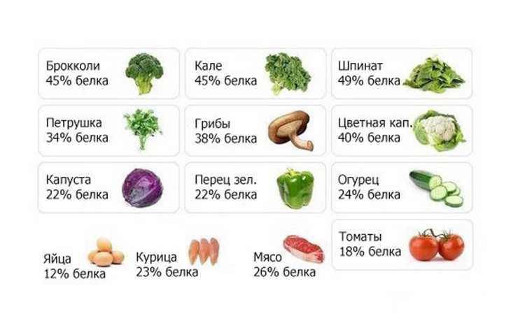 В каких продуктах содержится белок в большом количестве - список (таблица) - сила здоровья