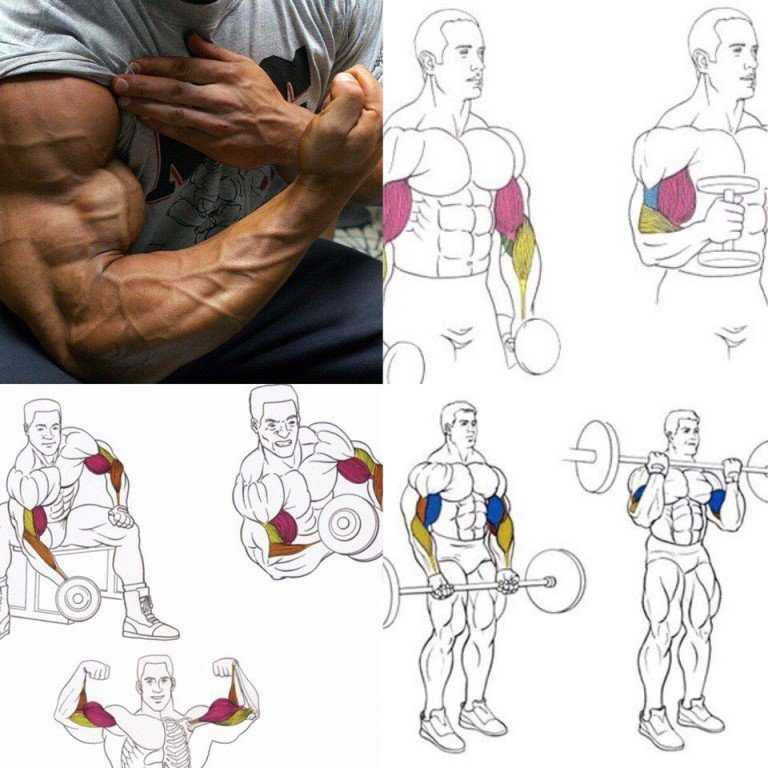 Какие мышцы качать вместе - главные принципы