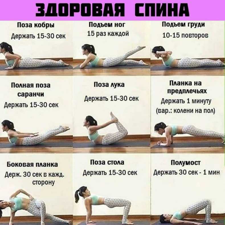 Упражнения для спины женщинам и мужчинам - в домашних условиях вылечить спину, остеохондроз, укрепить позвоночник