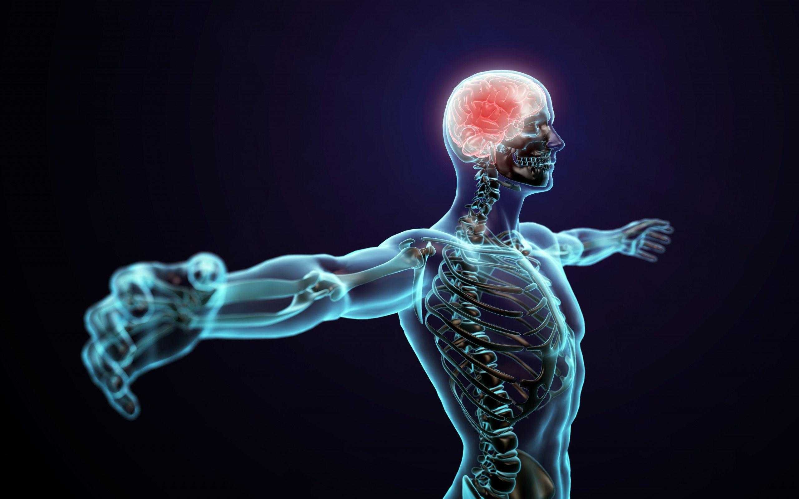 Ментальная связь мозг-мышцы: сверхэффективный тренинг