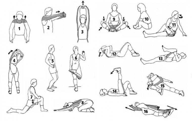 Стретчинг 🧘‍♀️ упражнения для растяжки тела с видео | фитоняшка