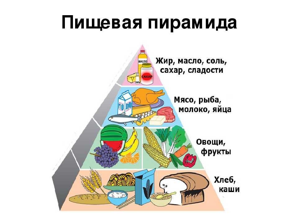 Пирамида рационального питания – московский областной центр общественного здоровья и медицинской профилактики (моцозимп)