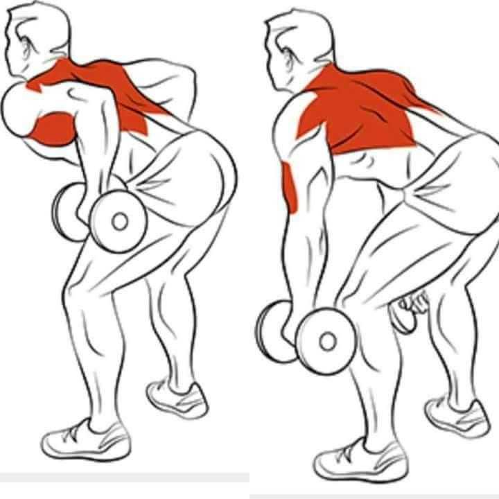 Упражнения для спины с гантелями и штангой. как накачать мышцы спины. про совмещение тренировки спины с другими мышцами. некоторые важные вопросы, которые стоило осветить