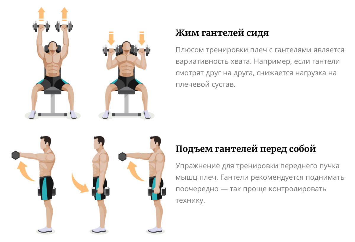 Лучшая схема упражнения с гантелями для мужчины - эффективные комплексы тренировок для начинающих (фото и видео уроки)