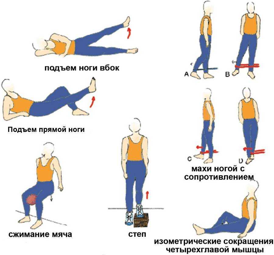 Упражнения для тренировки задней большеберцовой мышцы и её функции