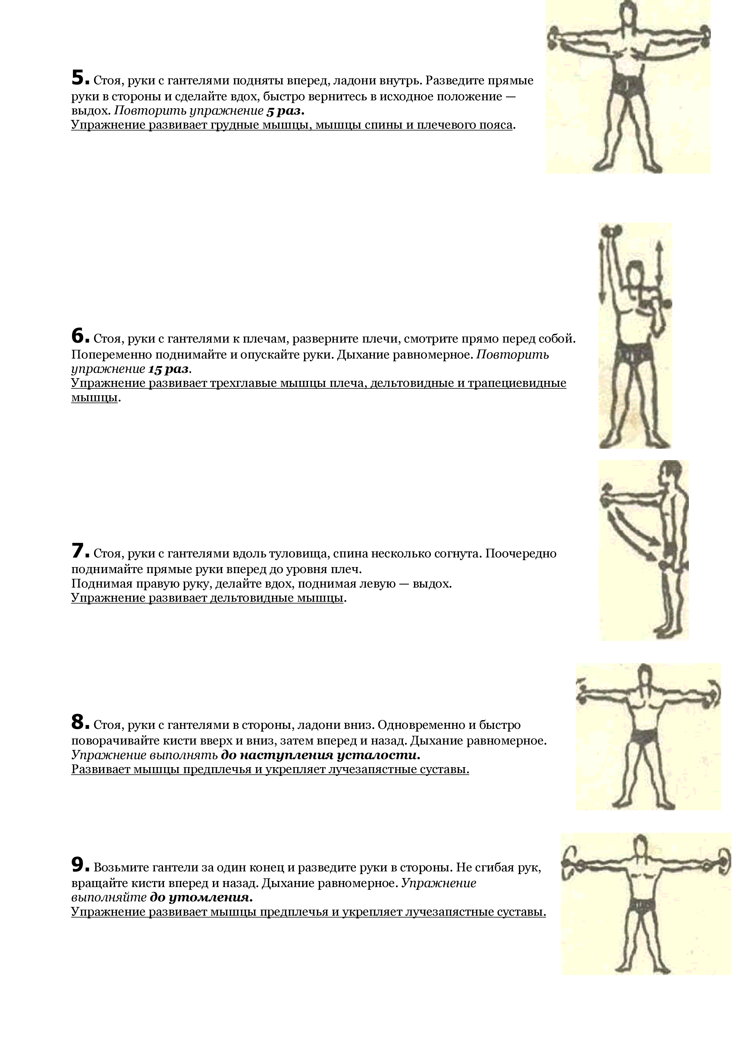 «сила и как сделаться сильным» (система физического развития евгения сандова). уникальная система изометрических упражнений железного самсона