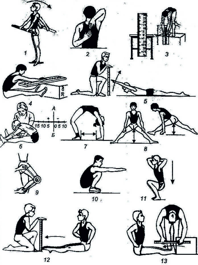 Программа тренировки гибкости для тела | портал спортивного питания