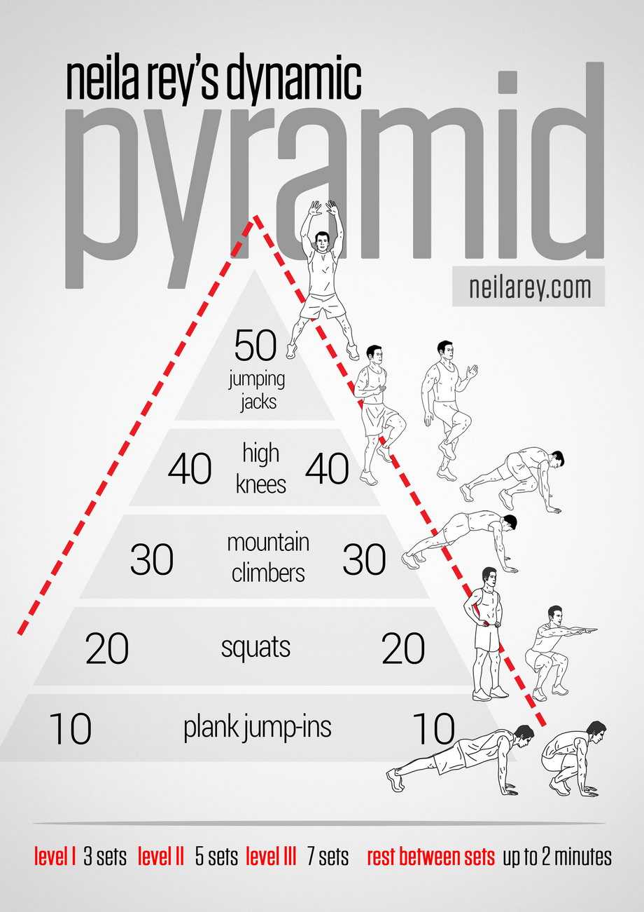 Пирамида в бодибилдинге | сайт о бодибилдинге, фитнесе и здоровом образе жизни.