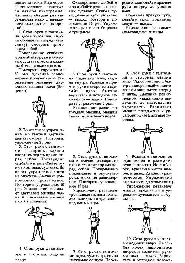 Упражнения с гантелями, которые делал Евгения Сандов Описание техники упражнений гантельной гимнастики Сандова в картинках