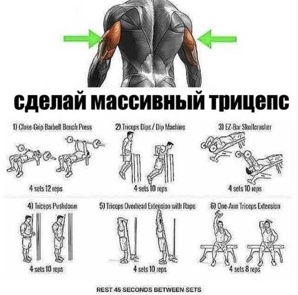 Упражнения на плечи в тренажерном зале: комплекс упражнений, особенности выполнения - tony.ru