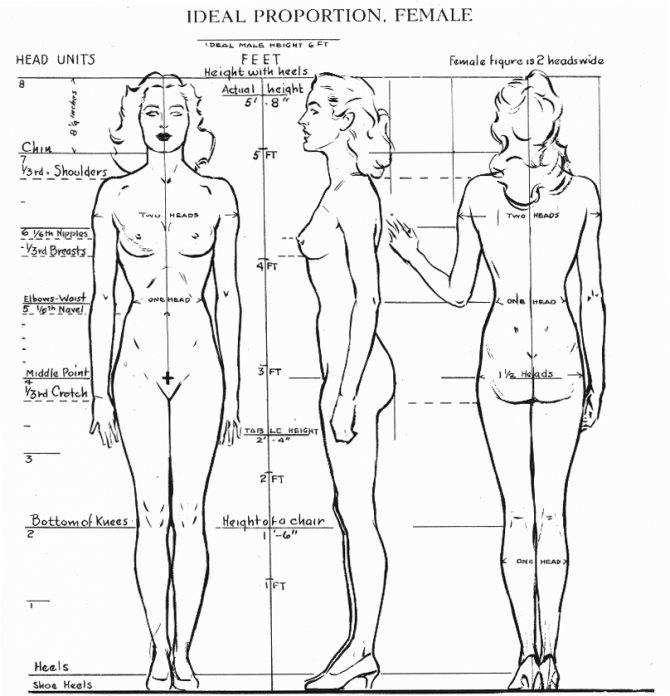 Ширина плеч у мужчин — классические пропорции и современные размеры