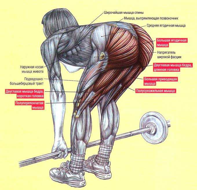 Рывок гири 16 кг - техника выполнения и какие мышцы работают и нормативы