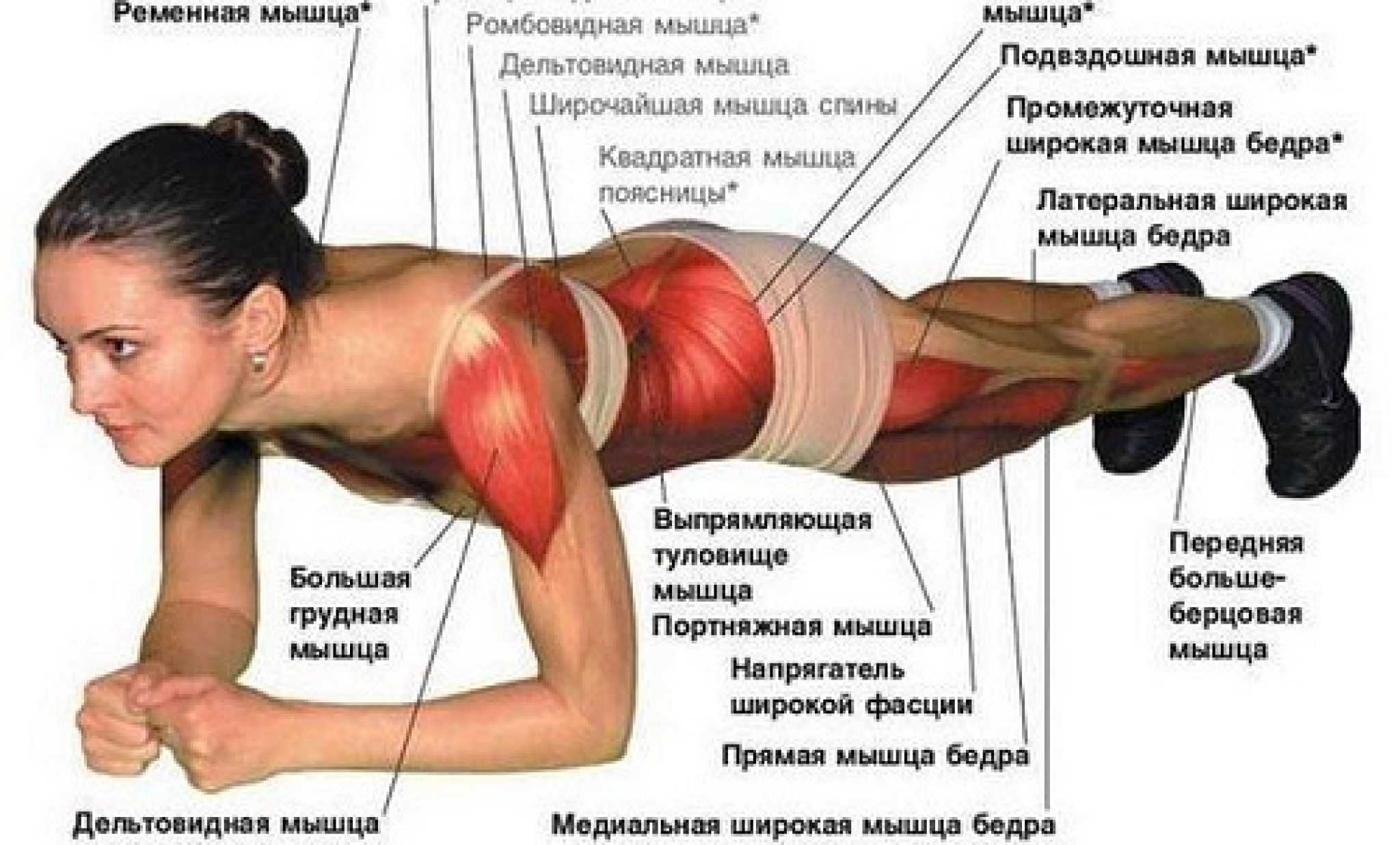 Планка для укрепления мышц