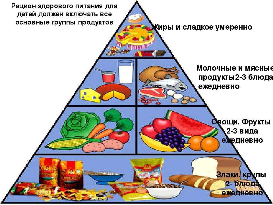 Из этой статьи вы узнаете, что такое пирамида питания Из чего она состоит, как составить свой рацион и заставить ее работать на себя