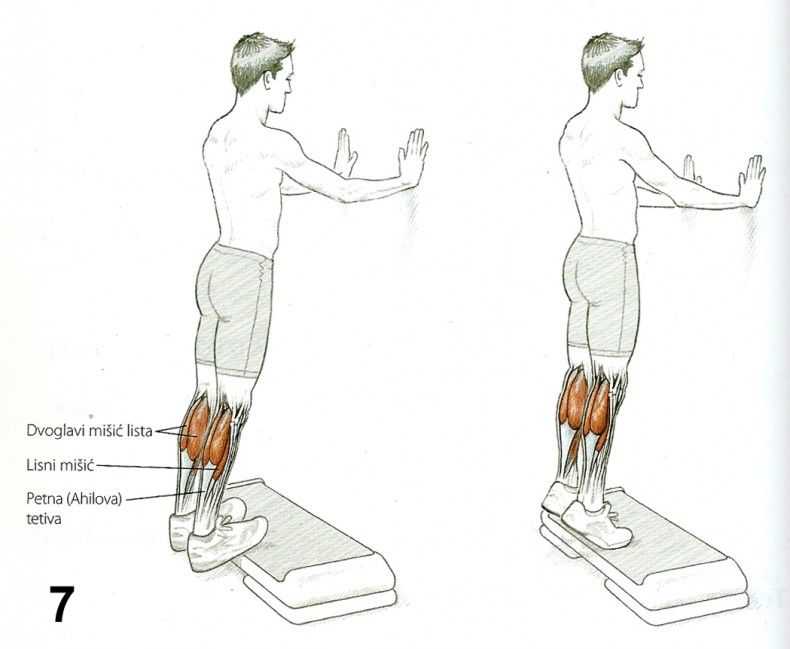 Подъемы на носки стоя в гакк тренажере - упражнение начального уровня сложности С его помощью вы сможете проработать икры, увеличить их силу и массу