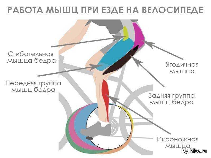 Упражнение велосипед на спине: техника и тонкости выполнения