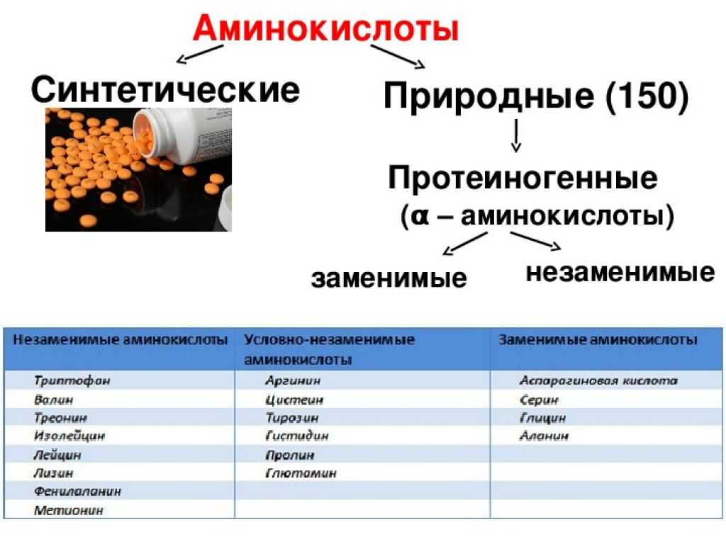 Лейцин в продуктах питания (таблица)