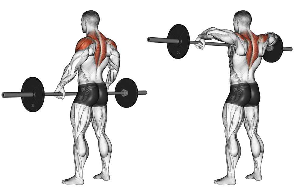 Тяга гантелей к груди - базовое упражнение для проработки мышц плеч и придания им рельефности Относится к упражнениям начального уровня сложности