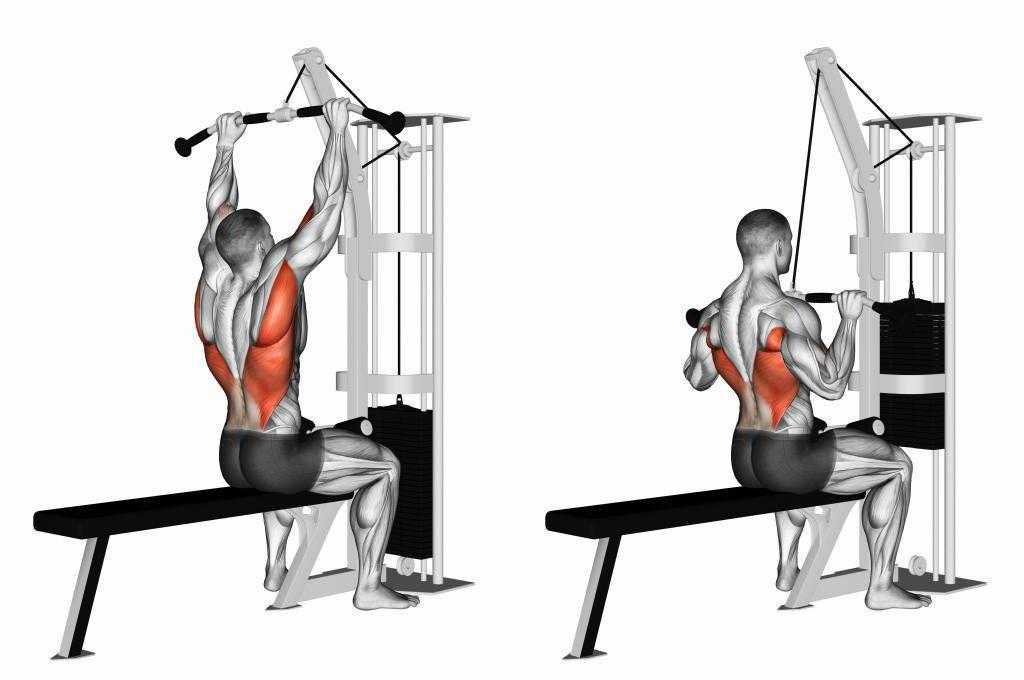 Тренировка для укрепления мышц спины в тренажерном зале: программа для начинающих