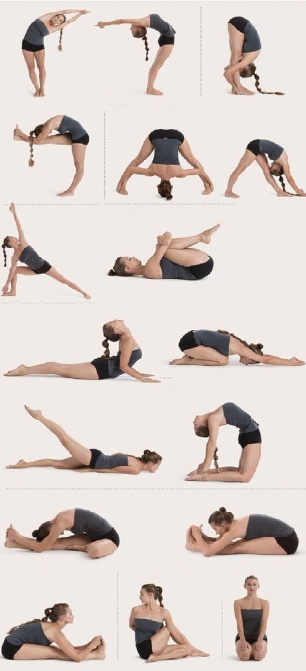 Упражнения для гибкости спины и позвоночника для гимнасток, начинающих, взрослых и детей