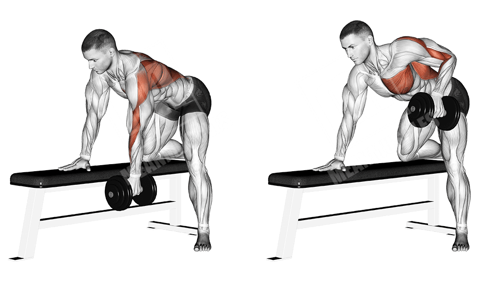Польза и недостатки тяги гантели к поясу Какие мышцы работают при тяге гантелей в наклоне Техника тяги гантели в наклоне одной рукой в упоре на скамью и бедро Вариант с гирей