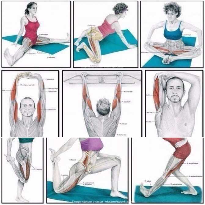 Растяжка лежа: 10 упражнений на коврике или кровати