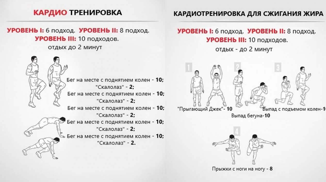 Аэробный и анаэробный режим тренировки. упражнения, тренировки, и разные типы нагрузки