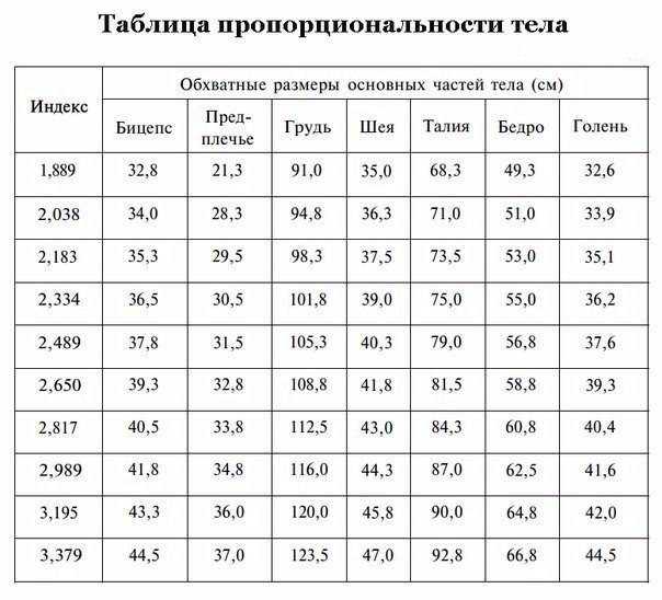 ✅ ширина плеч у мужчин - tom-florans.ru