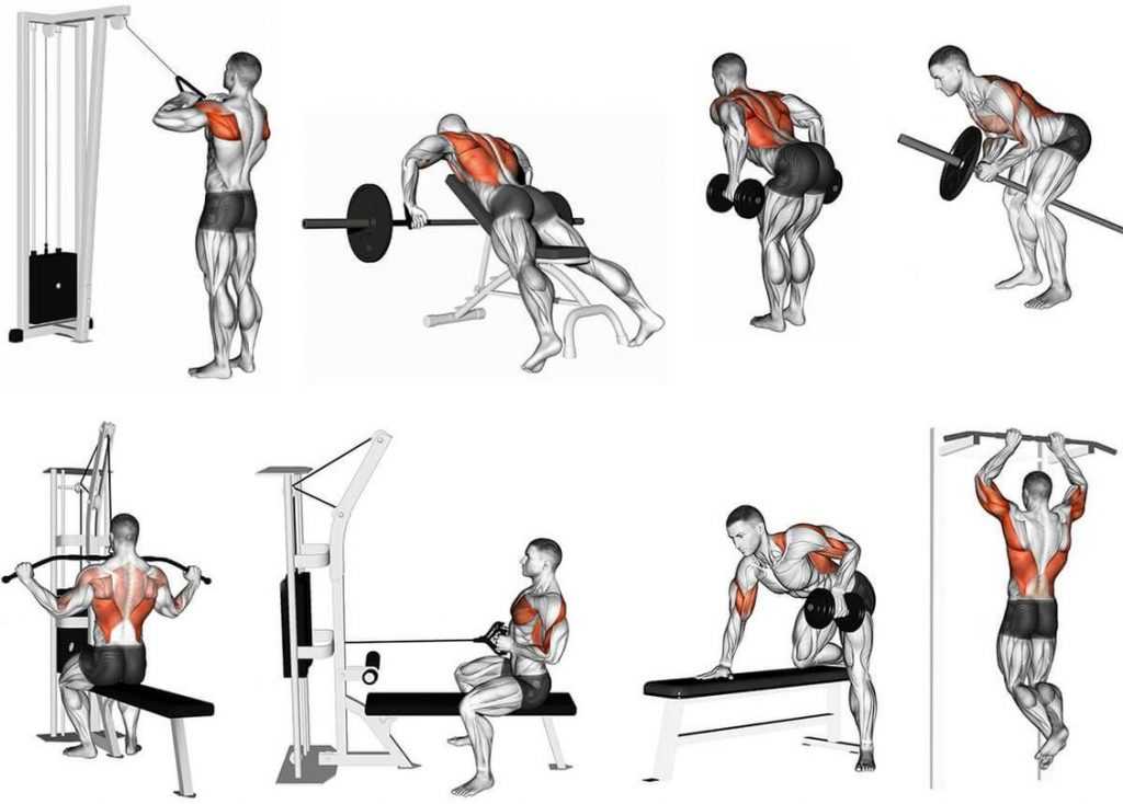 Упражнения для спины в тренажерном зале — как накачать спину