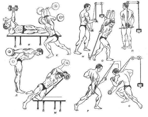 Топ 7 упражнений для латерального трицепса | бомба тело