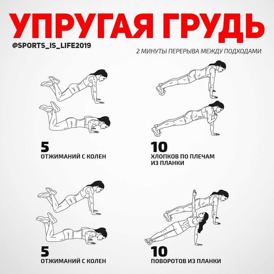 Как накачать грудь девушке: топ 5 упражнений для грудных мышц для женщин