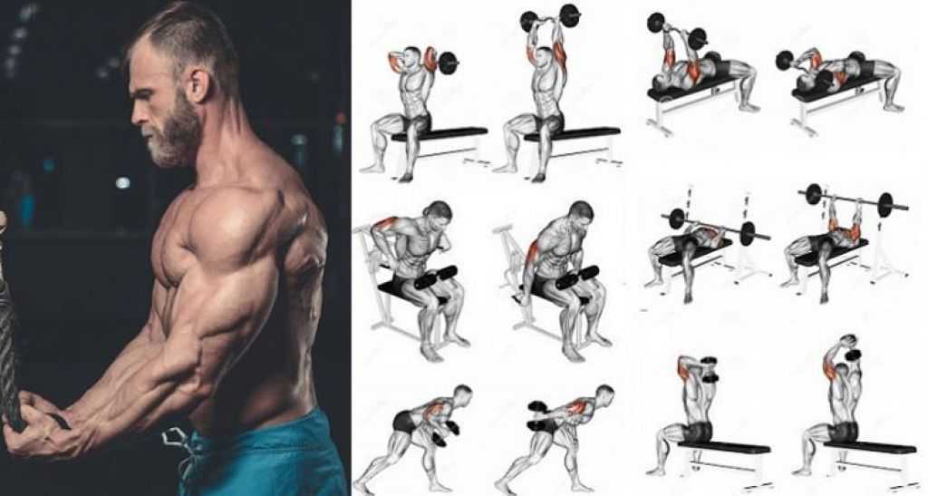 Комплекс упражнений на трицепс в тренажерном зале: топ 10 упражнений Особенности тренировки трицепса Схема тренировки трицепса в зале для мужчин