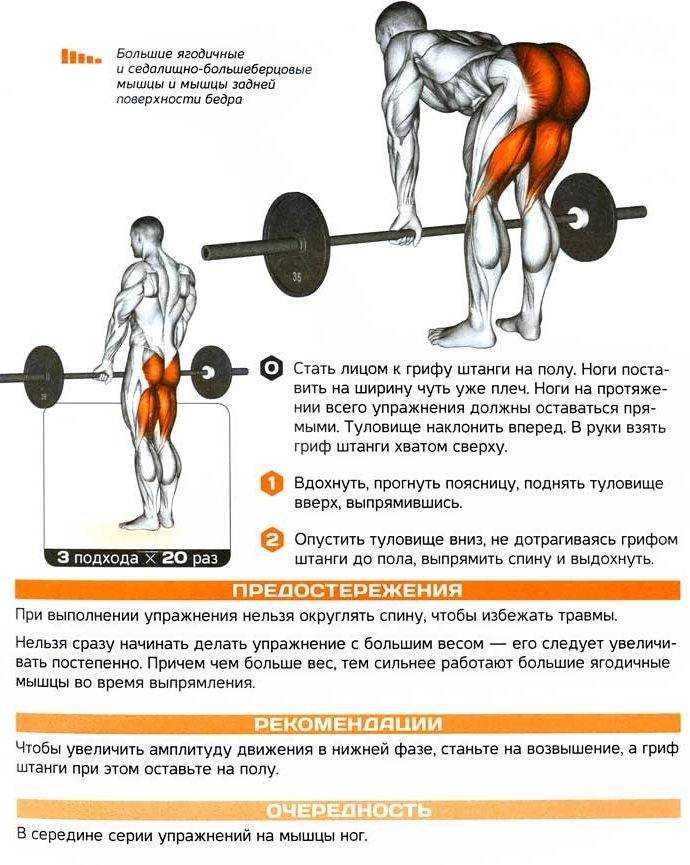 Румынская тяга: техника выполнения, какие мышцы работают - tony.ru