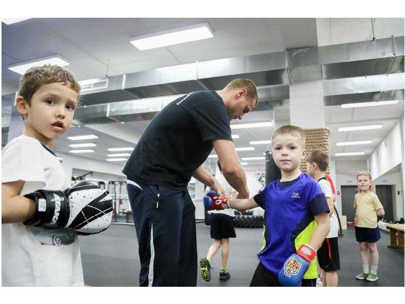 Арнольд шварценеггер в бодибилдинге: биография, программа тренировок