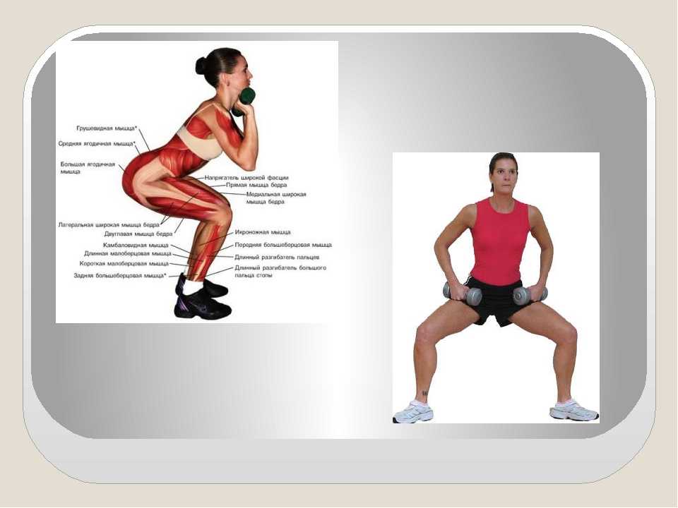 Как накачать задние мышцы бедра (бицепс): комплекс эффективных упражнений