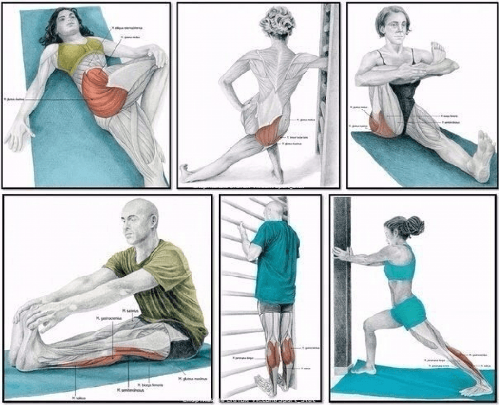 Stretching в фитнесе - что это такое? упражнения на растяжку в фитнесе - tony.ru