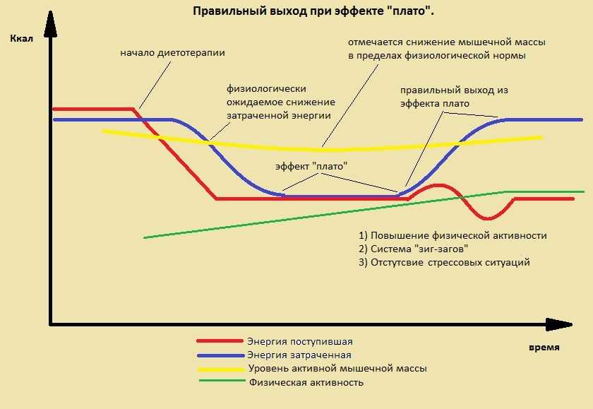 Принципы регулярных занятий фитнесом и понятие «плато»