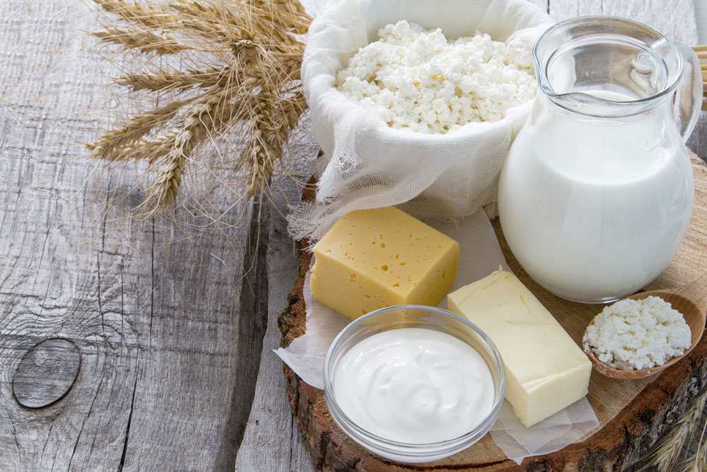 Сухое молоко для набора мышечной массы - можно ли использовать вместо протеина?