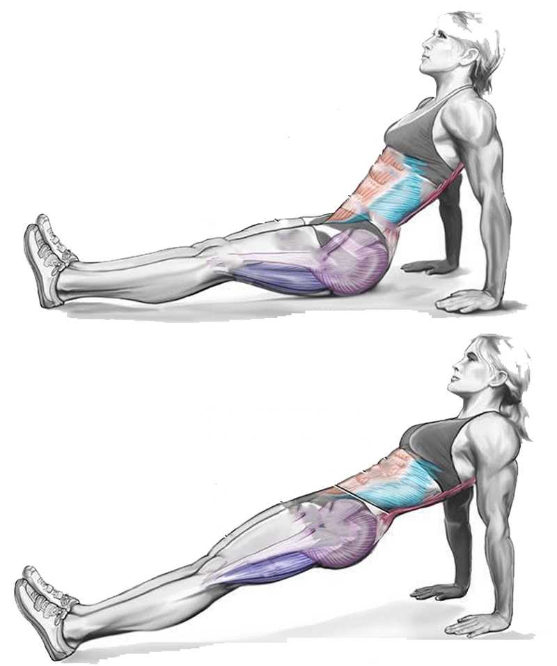 Топ-8 упражнений на заднюю поверхность бедра: техника выполнения Как внедрить упражнения для двуглавой мышцы бедра в тренировку
