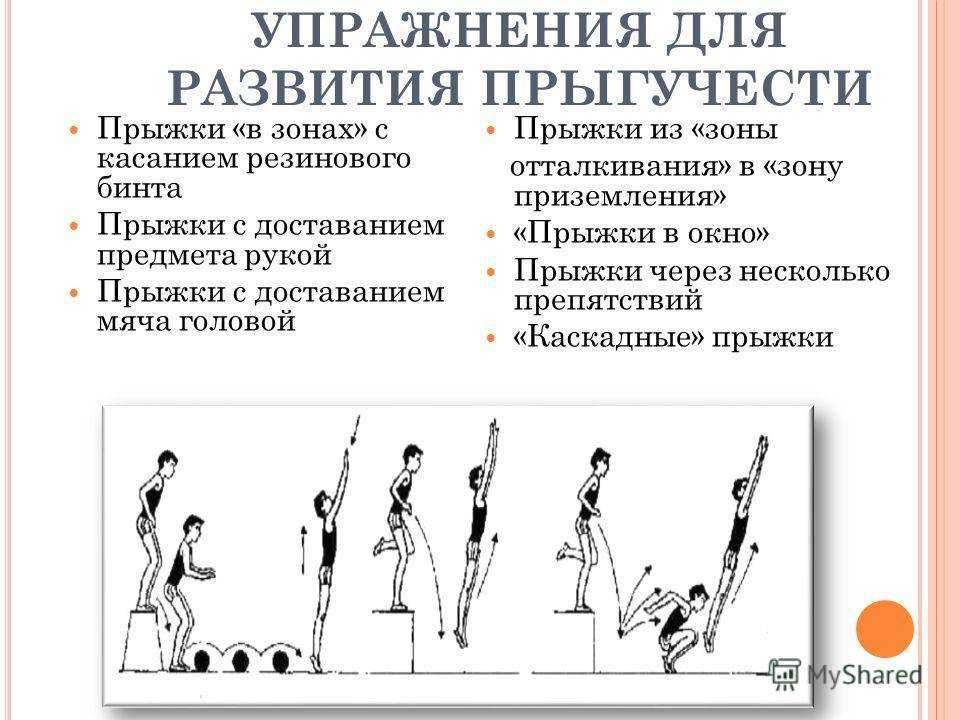 Базовым движением для увеличения взрывной силы ног являются прыжки Если их сочетать с классическими упражнениями из бодибилдинга, то эффективность тренировки будет выше