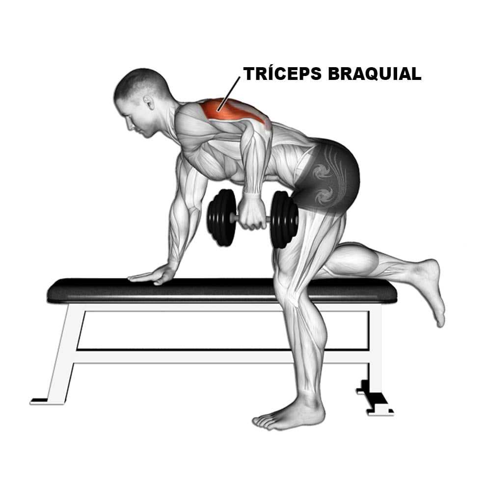 Упражнения на трицепс – лучший комплекс с описанием техники
