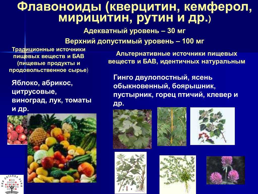 Основные группы бав. Флавоноиды. Флавоноиды в растениях. Растения содержащие флавоноиды. Флавоноиды в лекарственных растениях.