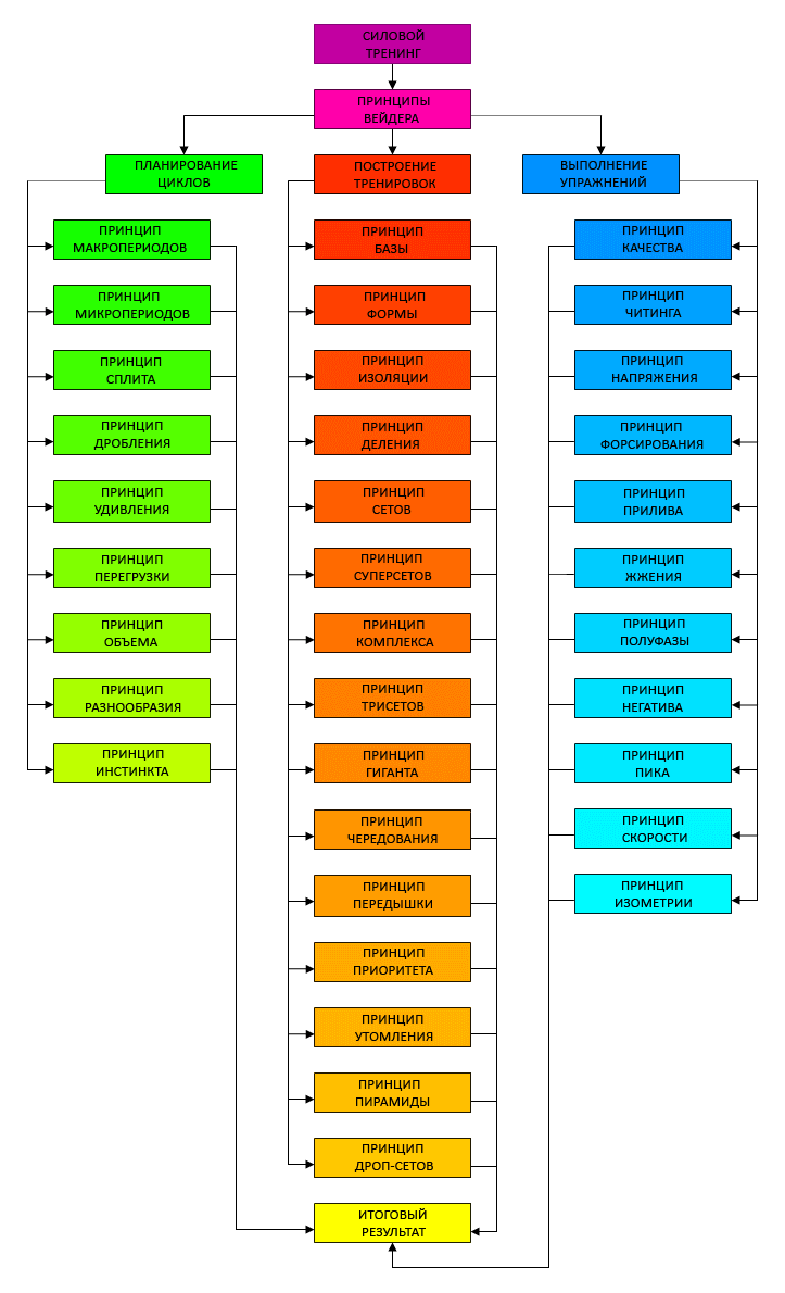 Система строительства тела джо вейдер
