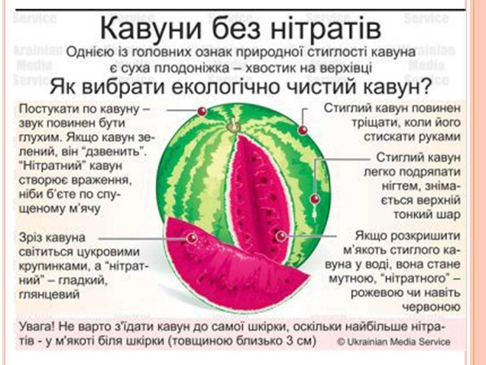 Сухофрукты – польза и вред при похудении, калорийность и состав