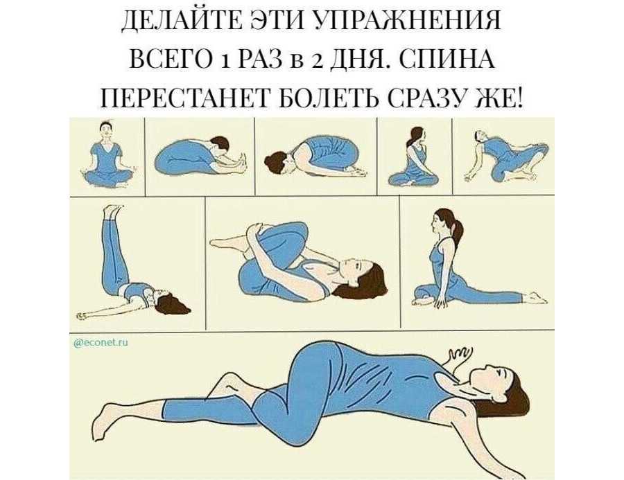 Упражнения на спину в тренажерном зале: базовые упражнения на прокачку мышц спины, тренировка для девушек на тренажерах