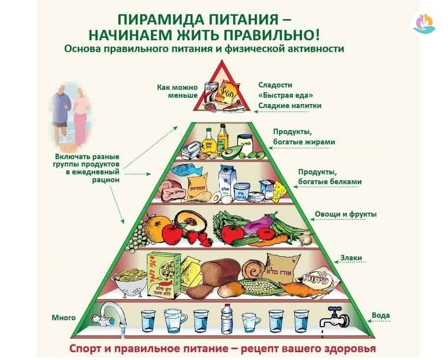 Пищевая пирамида правильного питания здорового человека