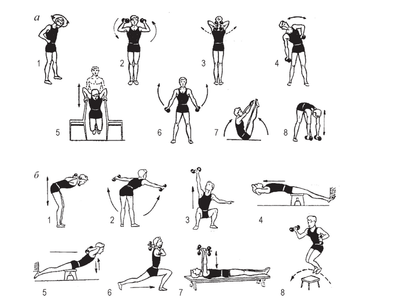Упражнения на руки в тренажерном зале: техника, лучший комплекс на массу для мужчин и женщин