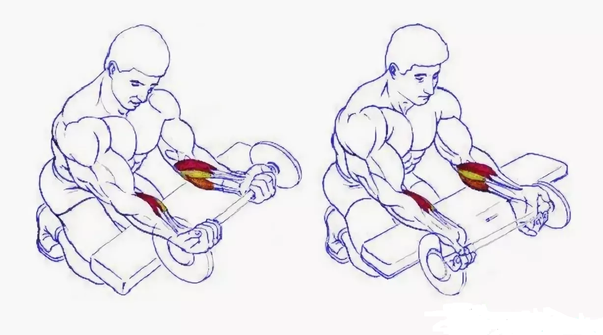 Оздоровительная гимнастика для суставов кистей рук при артрите
