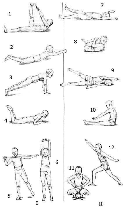 Статичные упражнения для ног - спорт и питание