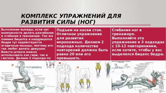 20 упражнений на силу. Упражнения для развития силы ног. Комплекс упражнений для развития мышц ног. Комплекс упражнений на силу мышц. Упражнение на силу мышц ног..